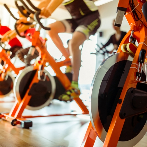 harison exercise spin bike